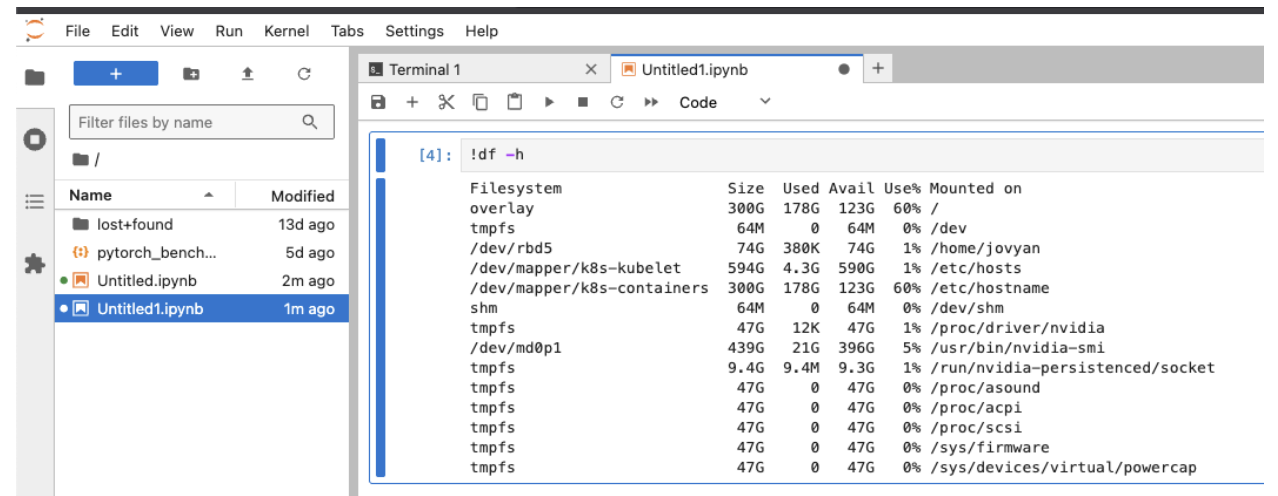 Screenshot showing the Jupyter editor open with !df -h command in a code cell