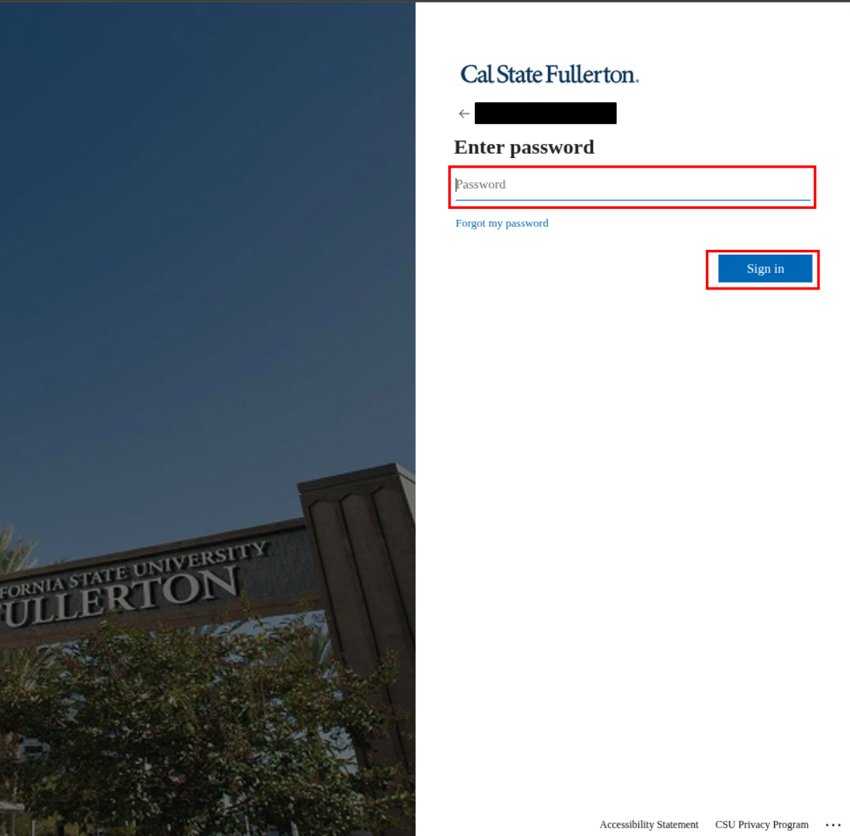 Website's sign-in page showing the "Enter password" button