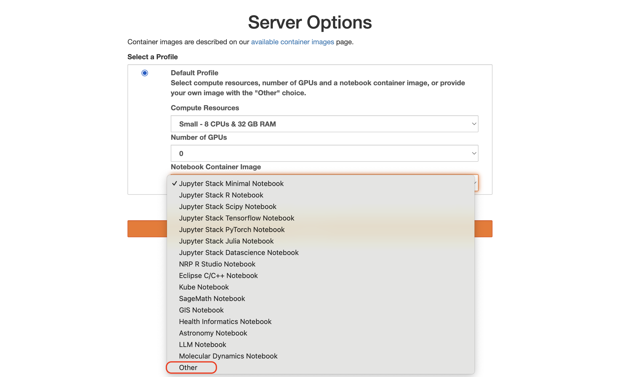 Screenshot showing Server Creation page with Other option highlighted