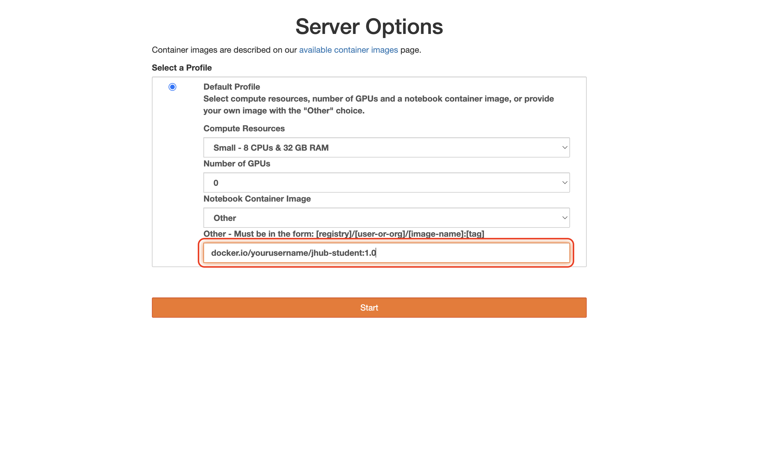 Screenshot showing the Server Creation page with the Other option highlighted and the URL field filled