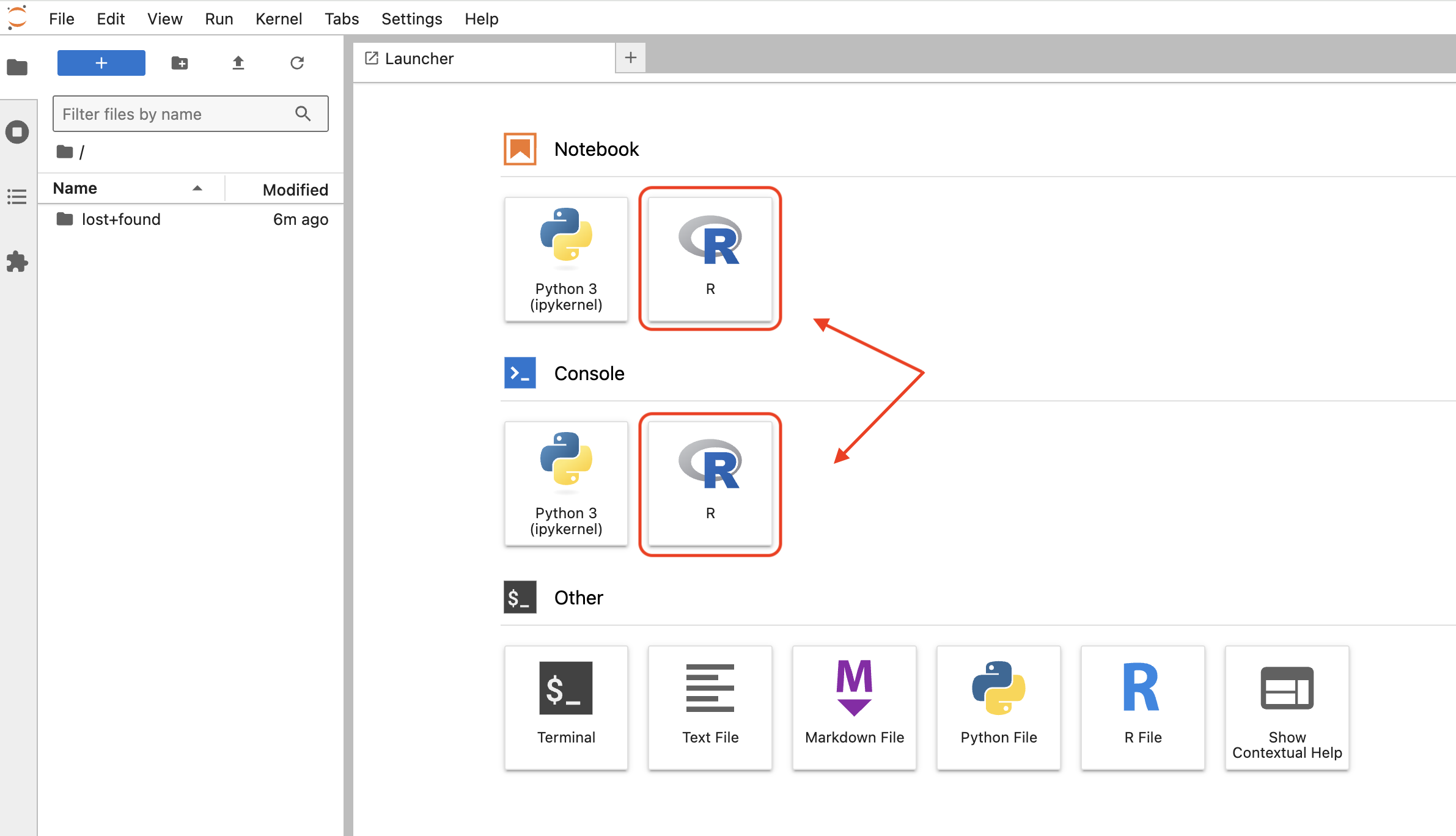 Screenshot showing Jupyter's launcher page